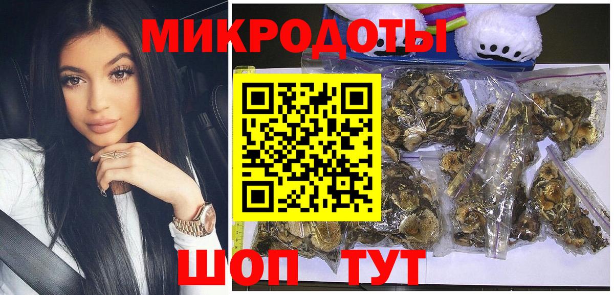 Псилоцибиновые грибы Cubensis Вичуга