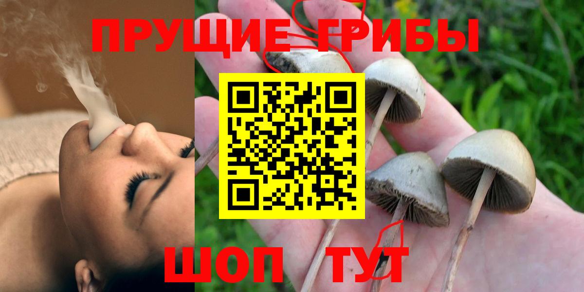 Вичуга  дарнет шоп  Вход с VPN  Галлюциногенные грибы ЛСД 